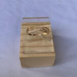 A anel delicado em X