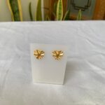 A Brinco pequeno coração